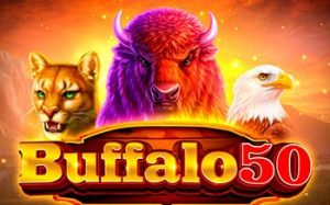 Buffalo 50